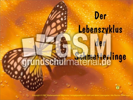 Lebenszyklus-Schmetterling.pdf